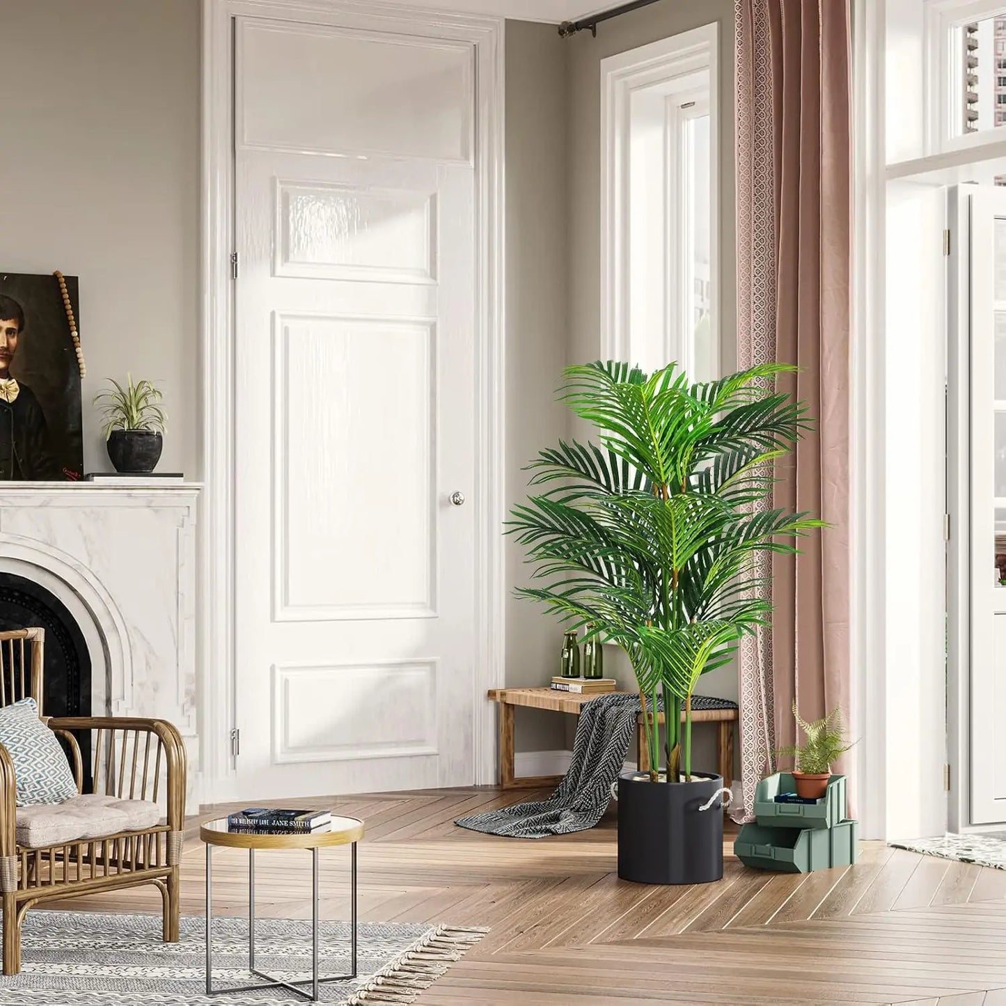 CN Zhejiang Areca Palm Silk Tree Multi Trunk Indoor Plant